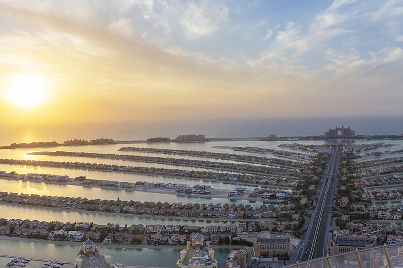 THE VIEW FROM THE PALM TOWER OBSERVATION DECK