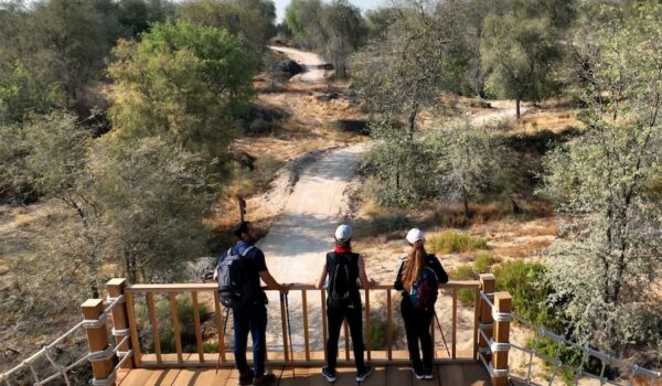 New Hiking Trail in Dubai!