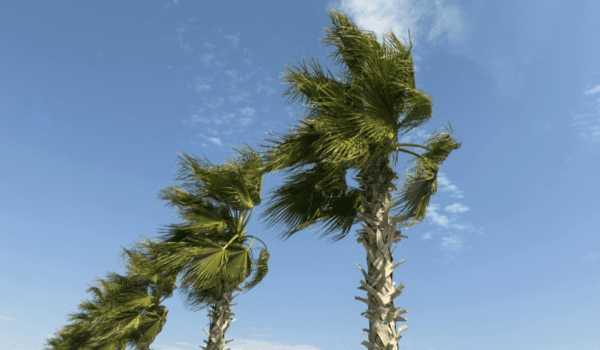 Dusty Winds Expected as Temperatures Climb Across the Country